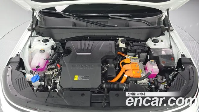 Hyundai Kona 2025 thumb 6