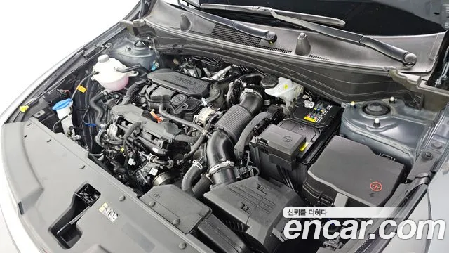Kia Sportage 2025 thumb 6