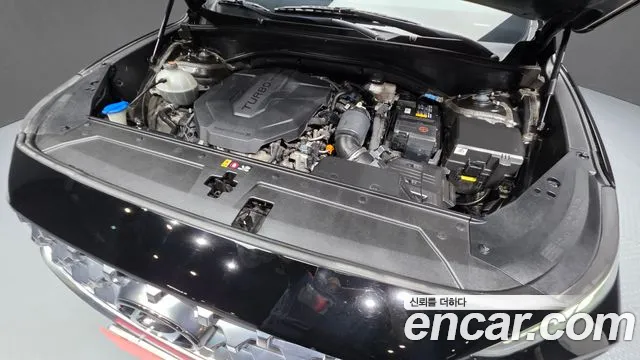 Hyundai Santa Fe 2020 thumb 6