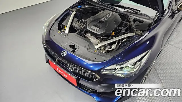 Kia Stinger 2019 thumb 6