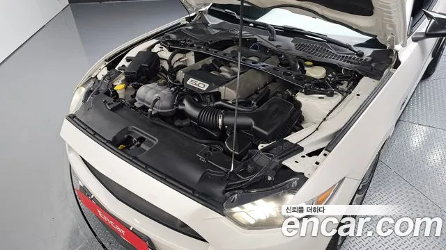 Ford Mustang Mach-E 2017 thumb 6