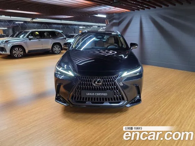 Lexus NX 2026 thumb 3