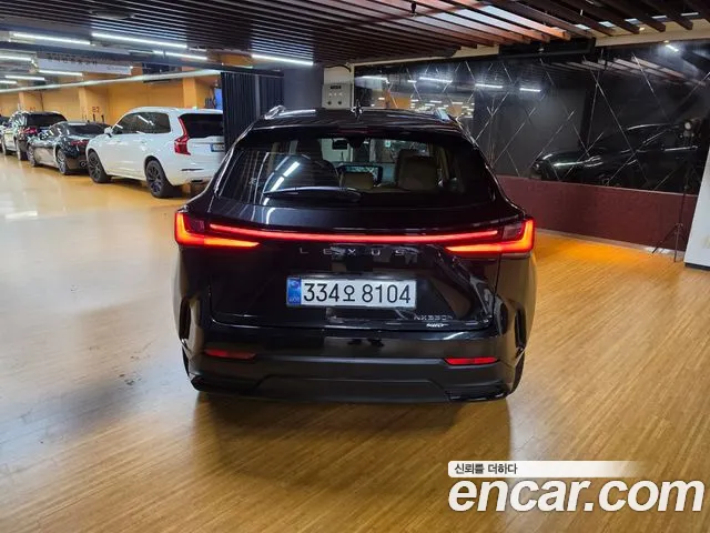 Lexus NX 2026 thumb 4