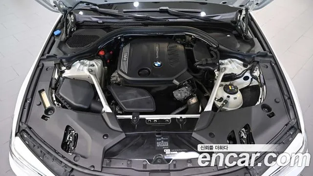 BMW 5-Series 2019 thumb 6