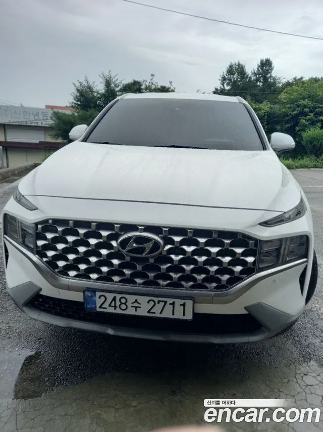 Hyundai Santa Fe 2022 thumb 9