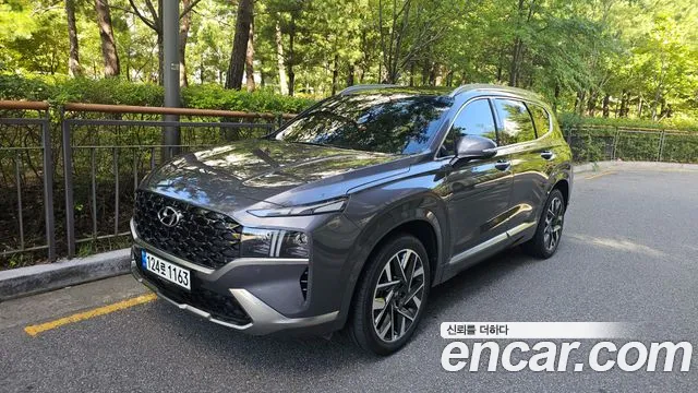 Hyundai Santa Fe 2021 thumb 12