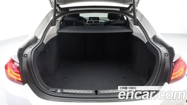 BMW 4-Series 2019 thumb 10