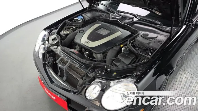 Mercedes-Benz E-Класс 2008 thumb 6