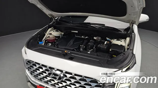 Hyundai Santa Fe 2020 thumb 5