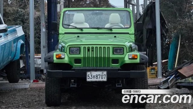 Jeep Wrangler 1995 thumb 8