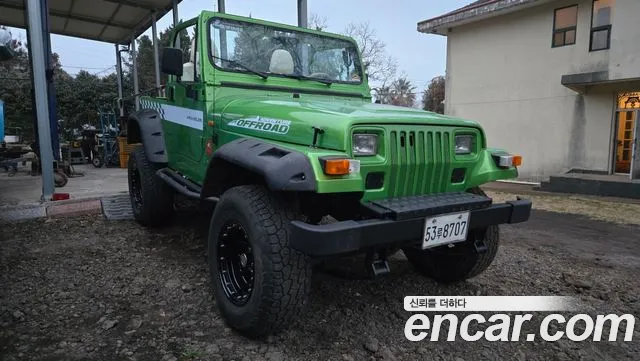 Jeep Wrangler 1995 thumb 10