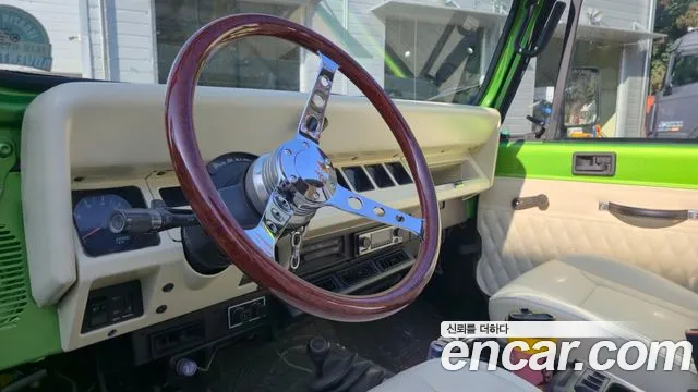 Jeep Wrangler 1995 thumb 11