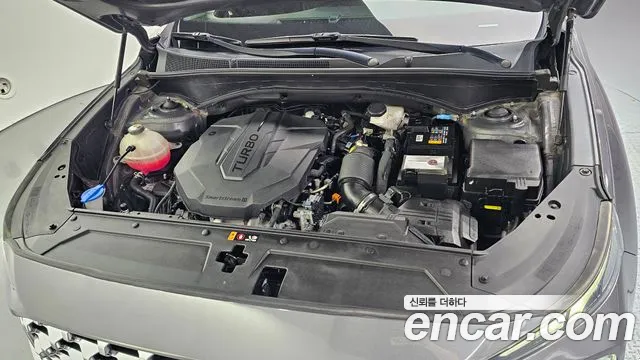 Hyundai Santa Fe 2020 thumb 6