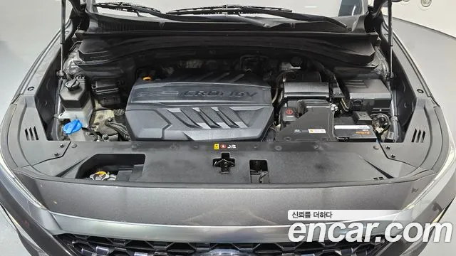 Hyundai Santa Fe 2019 thumb 6