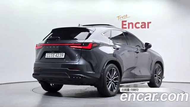 Lexus NX 2023 thumb 2