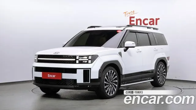 Hyundai Santa Fe 2024 thumb 12