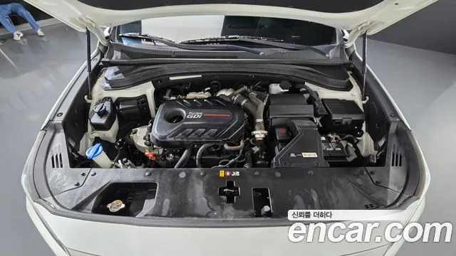 Hyundai Santa Fe 2019 thumb 6