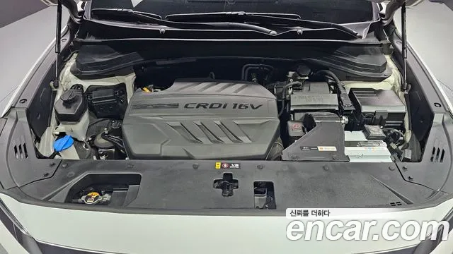 Hyundai Santa Fe 2019 thumb 6