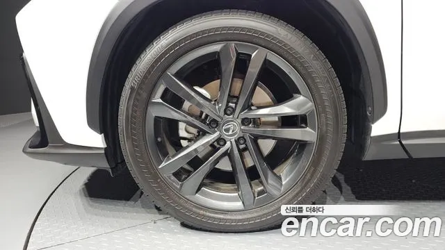 Lexus NX 2025 thumb 5