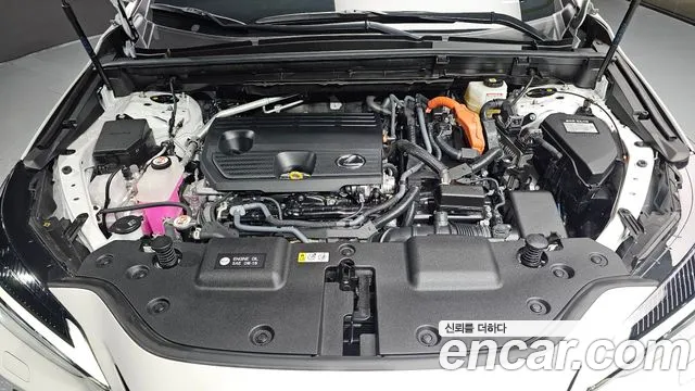 Lexus NX 2025 thumb 6