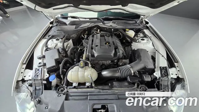 Ford Mustang Mach-E 2021 thumb 6