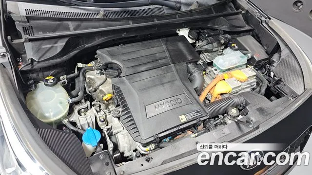 Kia Niro 2019 thumb 5