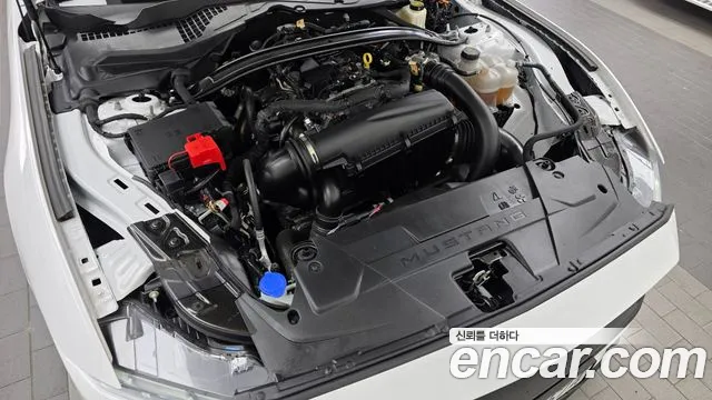 Ford Mustang Mach-E 2024 thumb 6