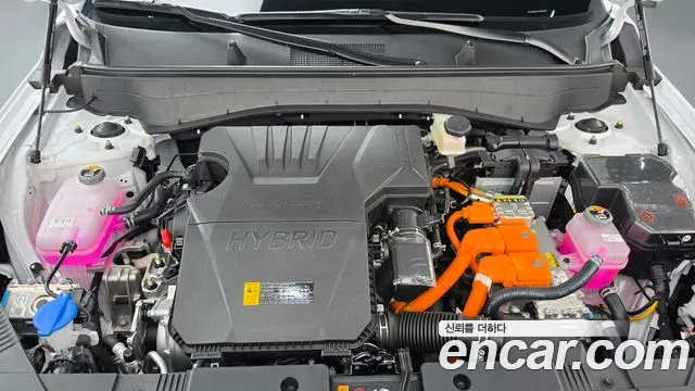 Hyundai Kona 2026 thumb 6