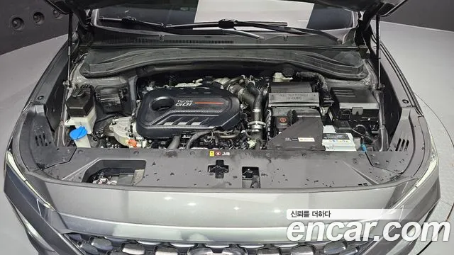Hyundai Santa Fe 2020 thumb 6