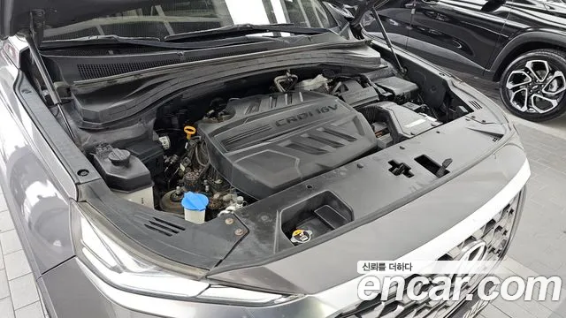 Hyundai Santa Fe 2019 thumb 6
