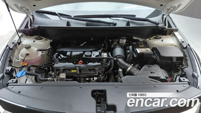 Kia Sportage 2025 thumb 6