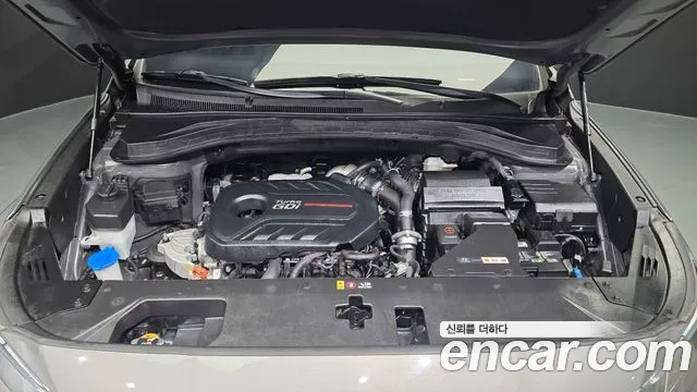 Hyundai Santa Fe 2019 thumb 6