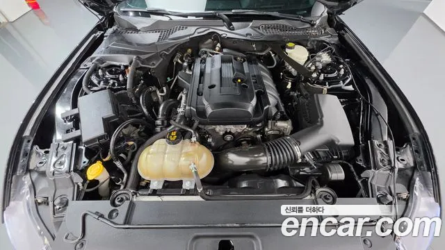 Ford Mustang Mach-E 2017 thumb 6