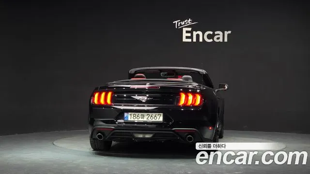 Ford Mustang Mach-E 2021 thumb 4
