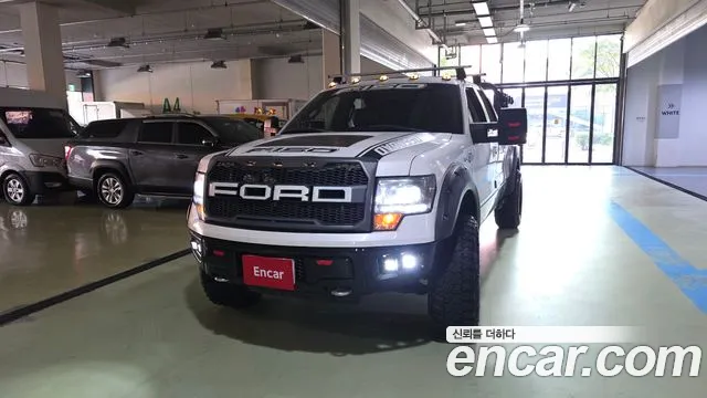 Ford F150 2010 thumb 3