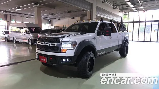Ford F150 2010 thumb 10