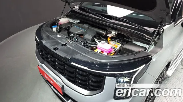 Kia Carnival 2024 thumb 6