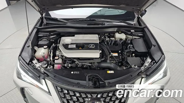 Lexus UX 2019 thumb 6