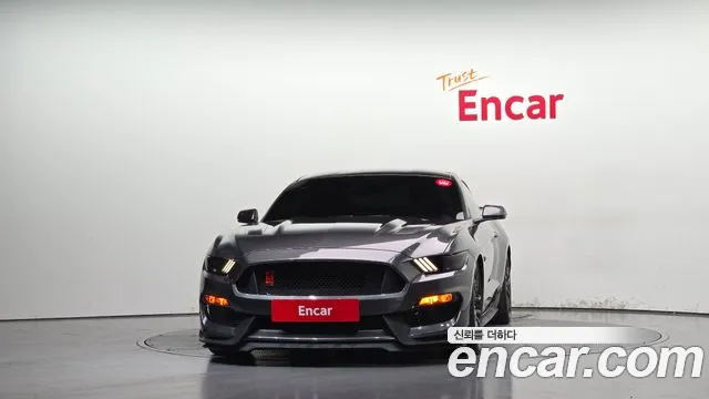 Ford Mustang Mach-E 2017 thumb 3