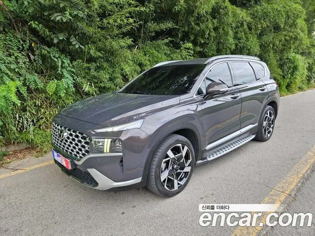 Hyundai Santa Fe 2021 thumb 11