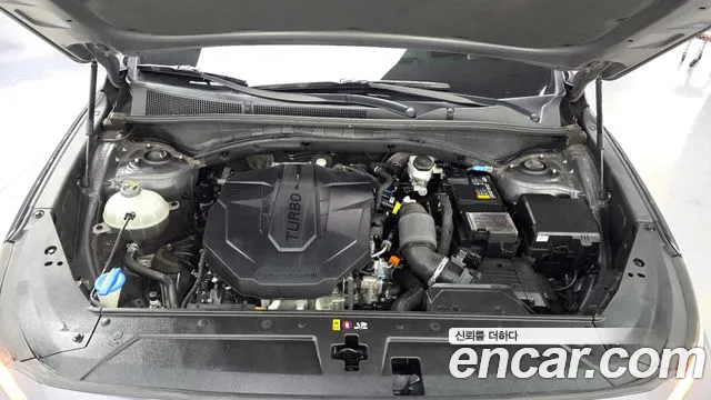Hyundai Santa Fe 2020 thumb 6