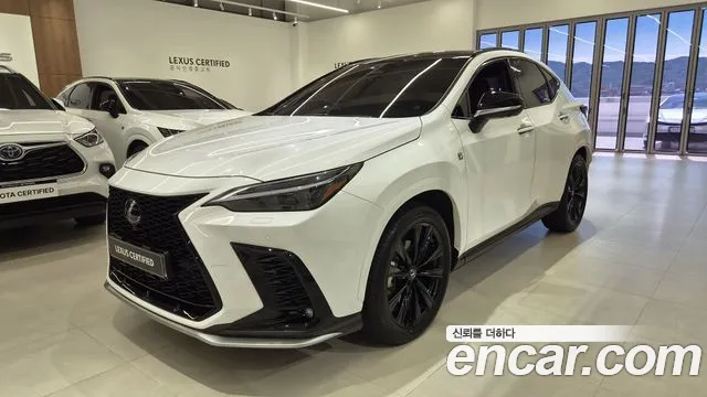 Lexus NX 2025 thumb 11