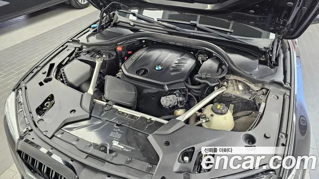 BMW 5-Series 2019 thumb 6