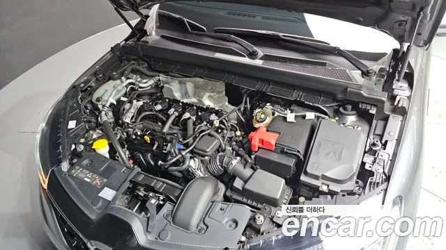 Renault-KoreaSamsung Arkana 2022 thumb 6