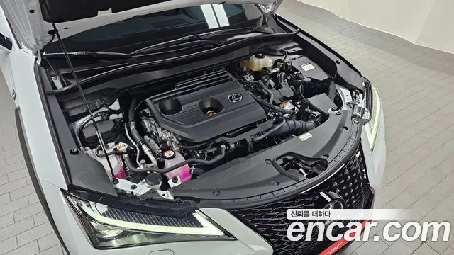 Lexus UX 2025 thumb 5
