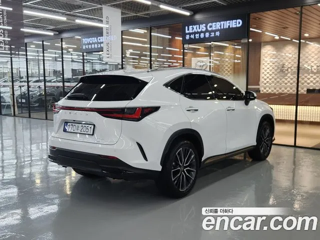 Lexus NX 2026 thumb 2