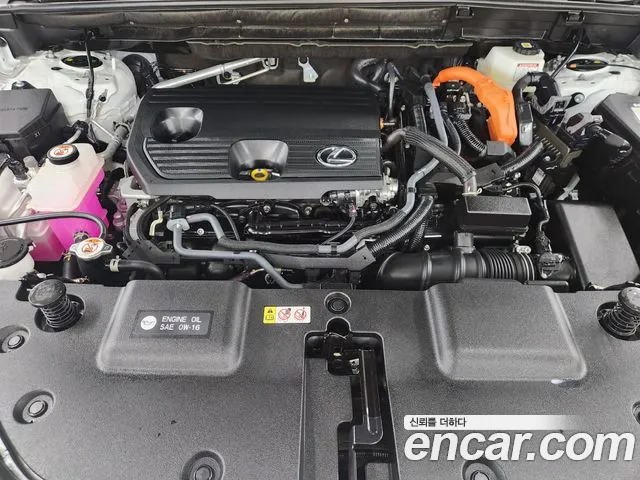Lexus NX 2026 thumb 6