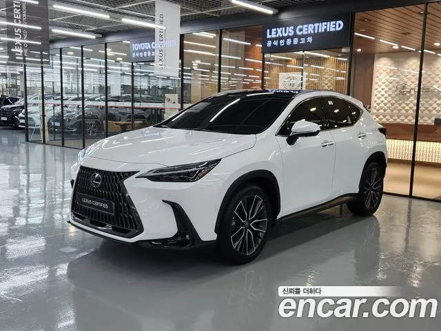 Lexus NX 2026 thumb 12