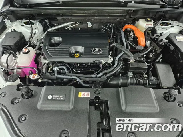 Lexus NX 2026 thumb 6