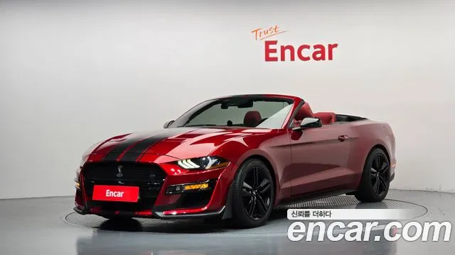 Ford Mustang Mach-E 2018 thumb 12
